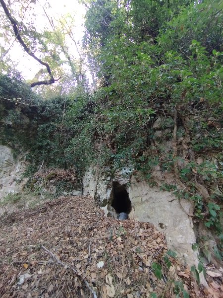 Thorey-sous-Charny - grotte de la rd117 - entrée cavité photo 2, Aurélien Bloch.jpg
Fichier manquant